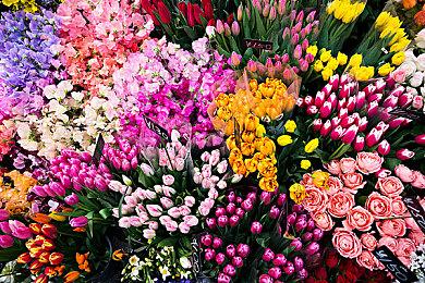 《守望先锋2》万圣节新模式大受欢迎 即将迎来平衡调整